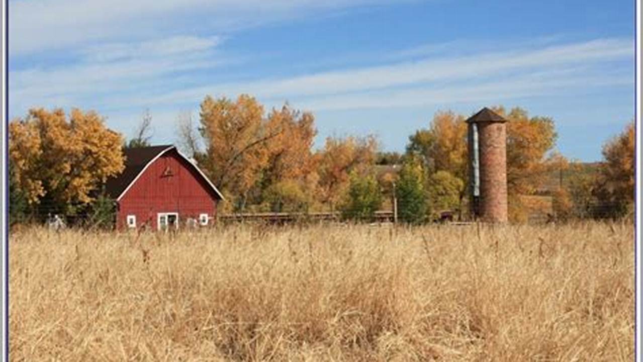 Discover the Hidden Gems of Craigslist Farm and Garden San Antonio