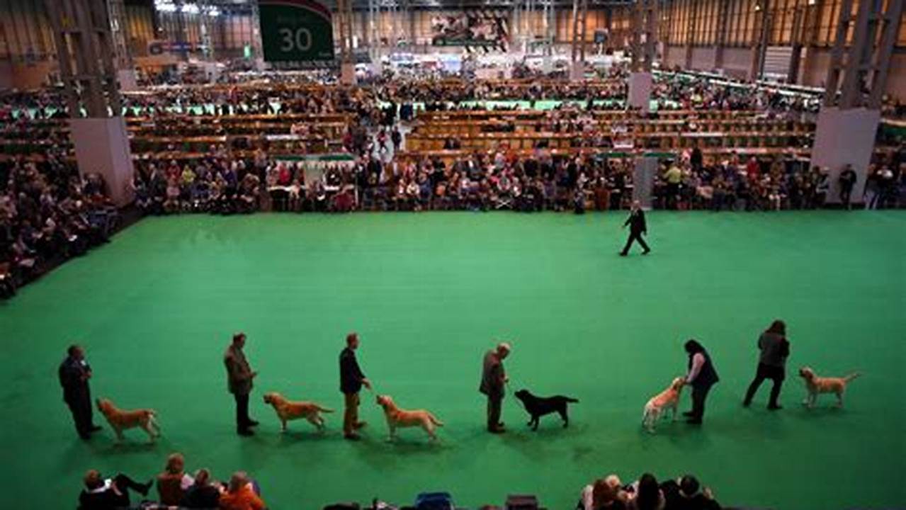 Crufts Dog Show 2024 Results