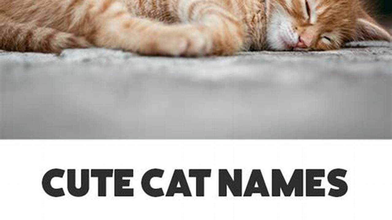 Tips for Choosing Cute Fall Names for Your Traveling Cat
