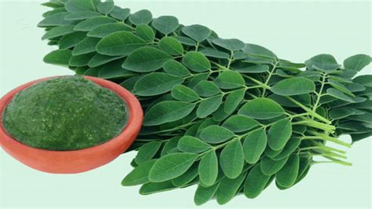 Unveil the Incredible Benefits of Daun Kelor: A Secret Revealed