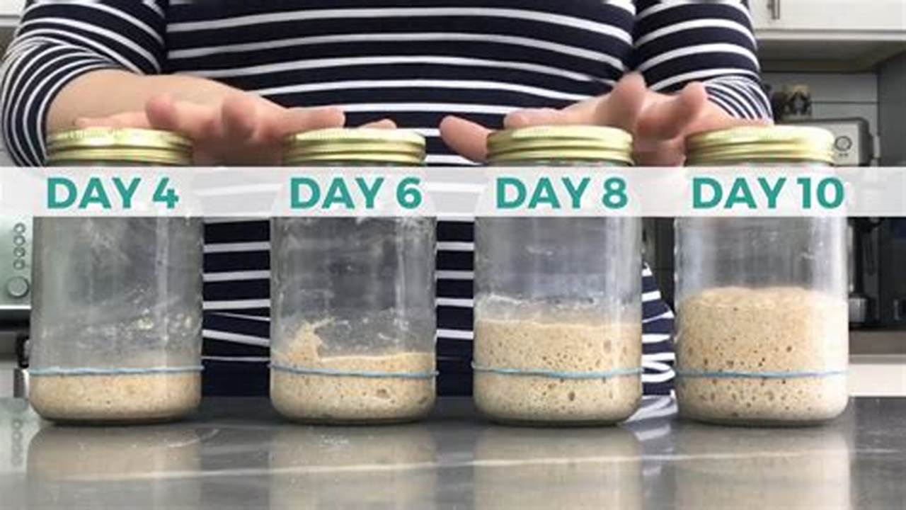 Sourdough Starter Mastery: Unleash the Tangy Goodness of Day 4