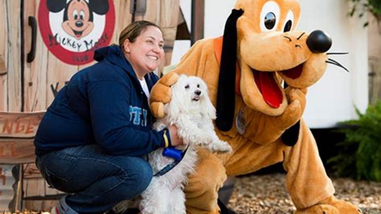 5-Paw Pet Paradise: Disney World's Boarding Haven in NYC