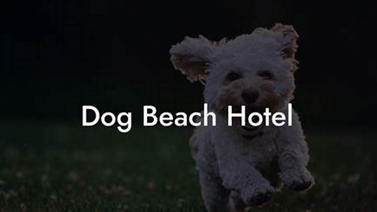 Unleash Your Dog's Joy: Discover 5 Paw-fect Beach Resorts in NYC