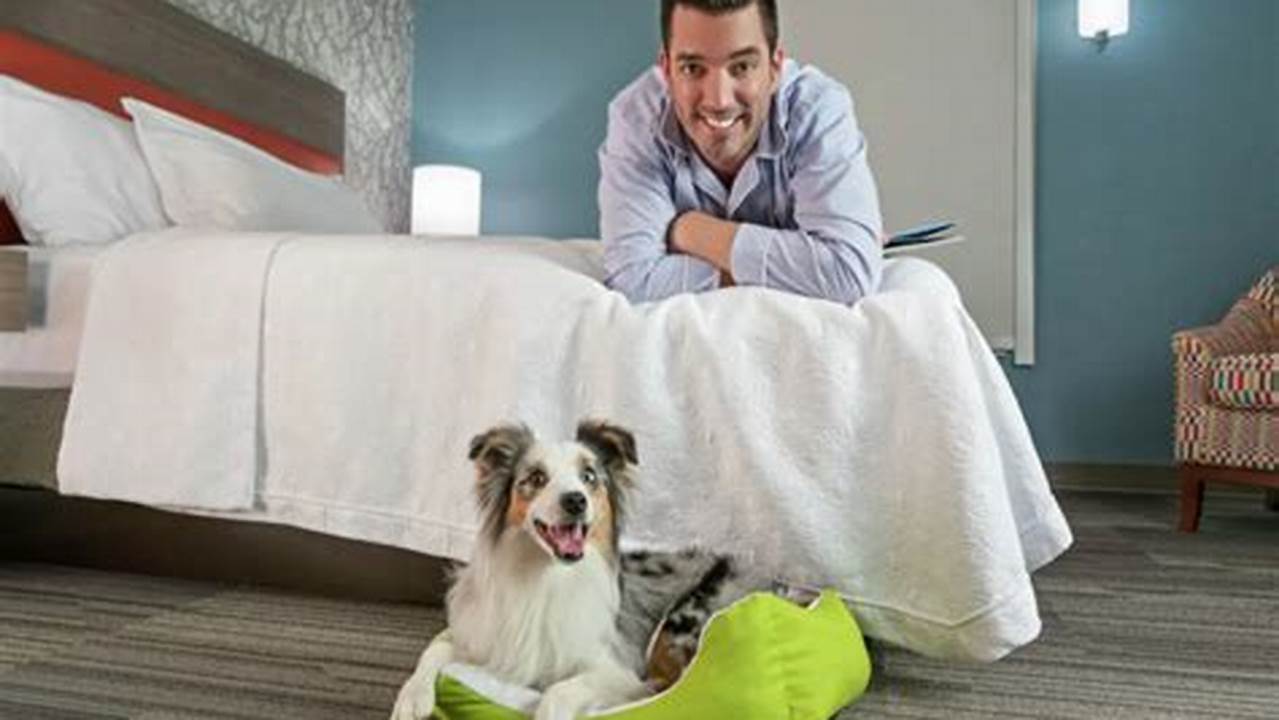 Unleash Your Furry Getaway: Discover 5 Paw-some Hilton Hotels in NYC!