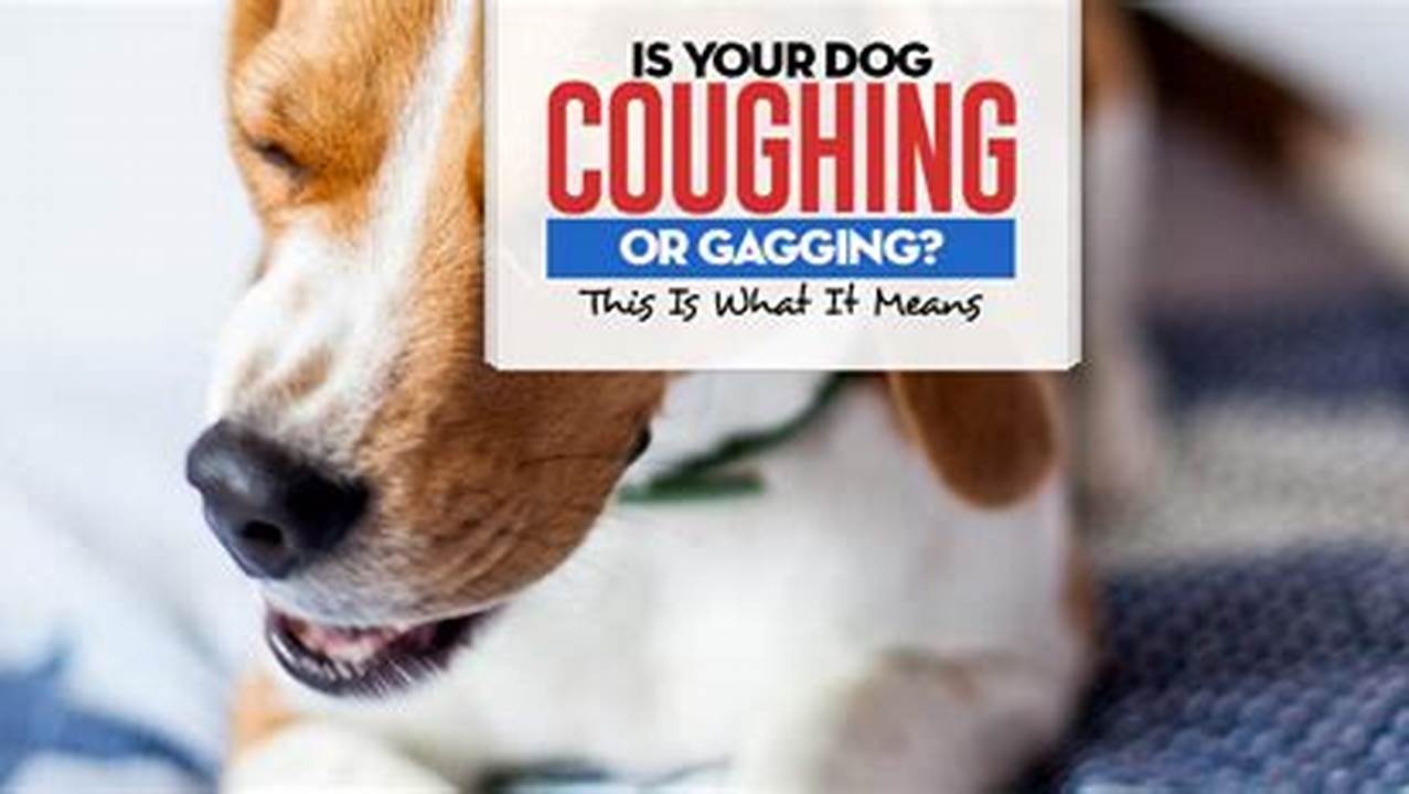Dog Keeps Coughing and Hacking: Causes, Symptoms, and Solutions