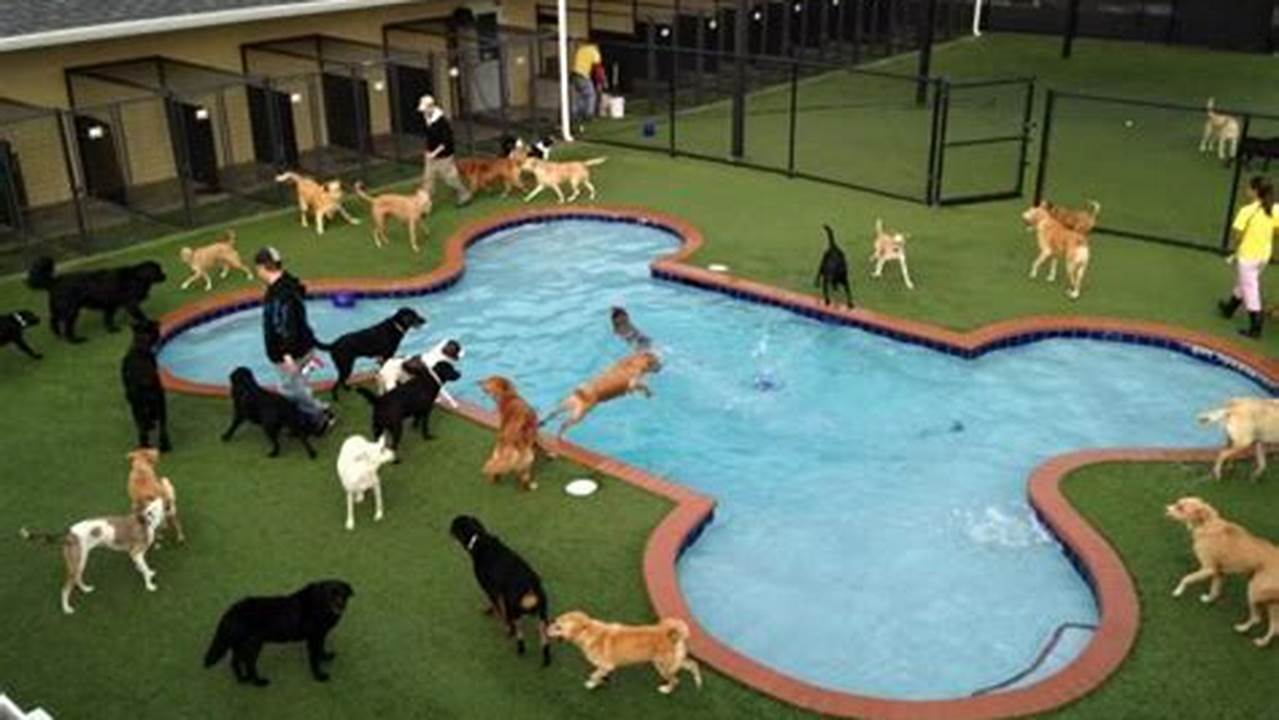 Discover the Top 5 Dog Resorts in New York City: A Haven for Happy Hounds!