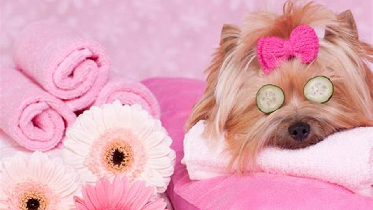Discover the Secrets to Finding the Best "Dog Spa Near Me"