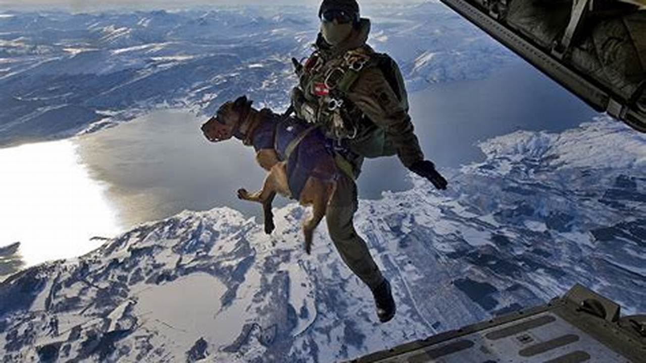Canine Skydiving: An Exhilarating Adventure for Dogs and Handlers