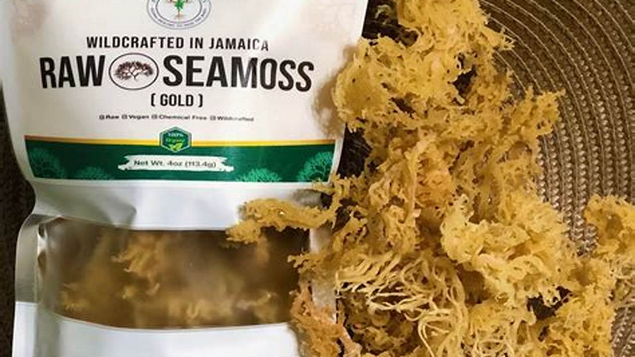 Unveiling the Hidden Treasures of Dried Sea Moss: Discoveries and Insights