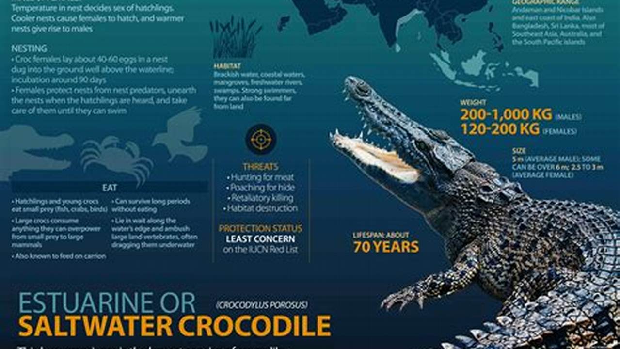 Unveil the Secrets of Crocodiles: Discoveries and Insights Await