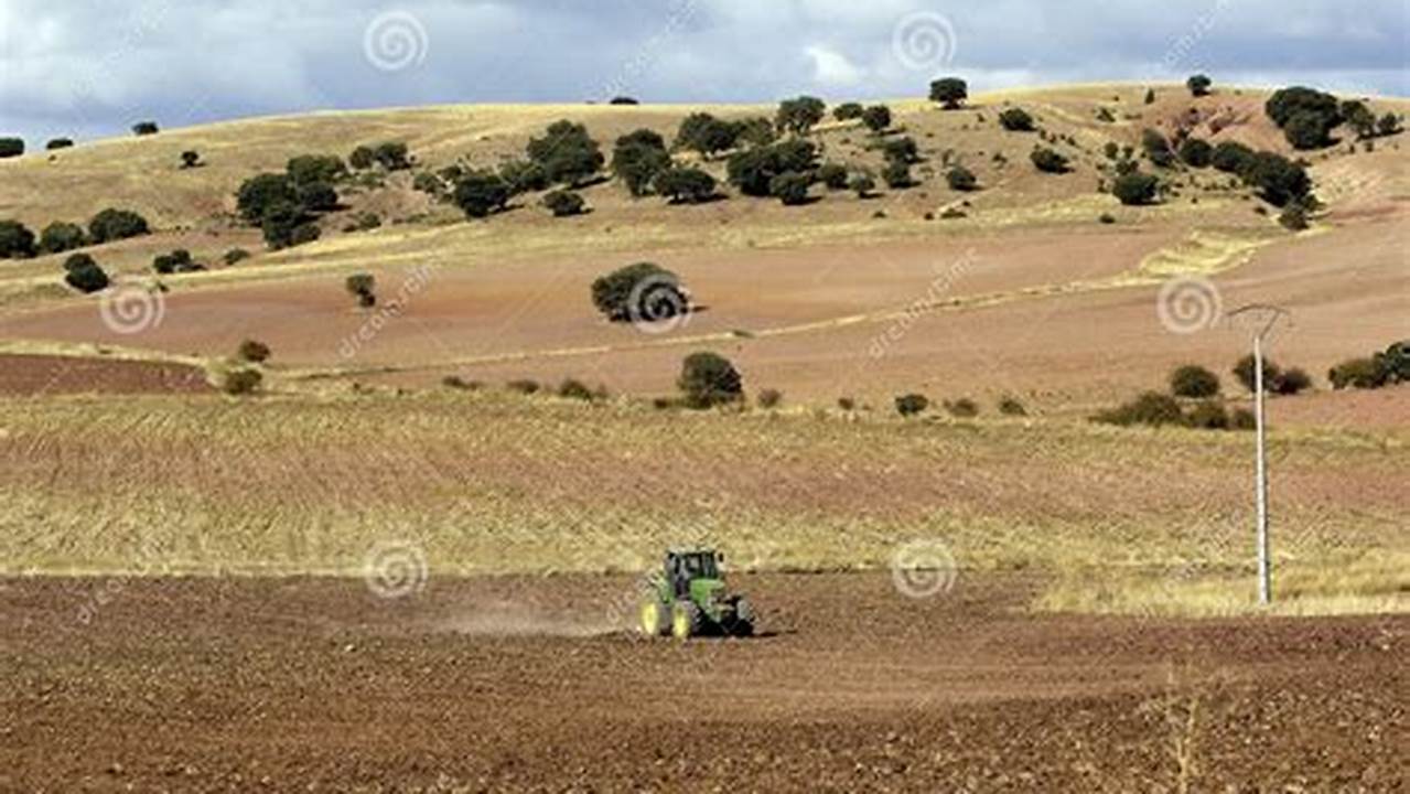 Discover the Secrets of Sustainable Farming: Dry Farming in Central Spain
