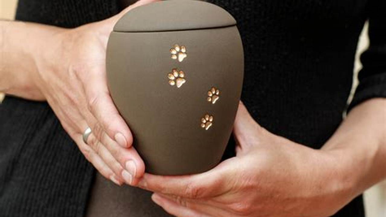 Unlocking the Secrets of Forget Me Not Pet Cremation: A Journey of Love and Remembrance