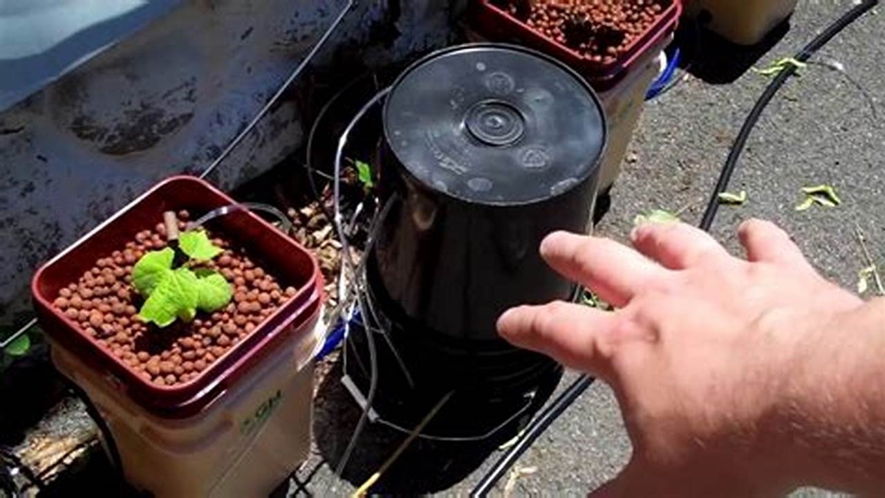 Unlock the Secrets of DIY Hydroponics: Discoveries for Your Farm