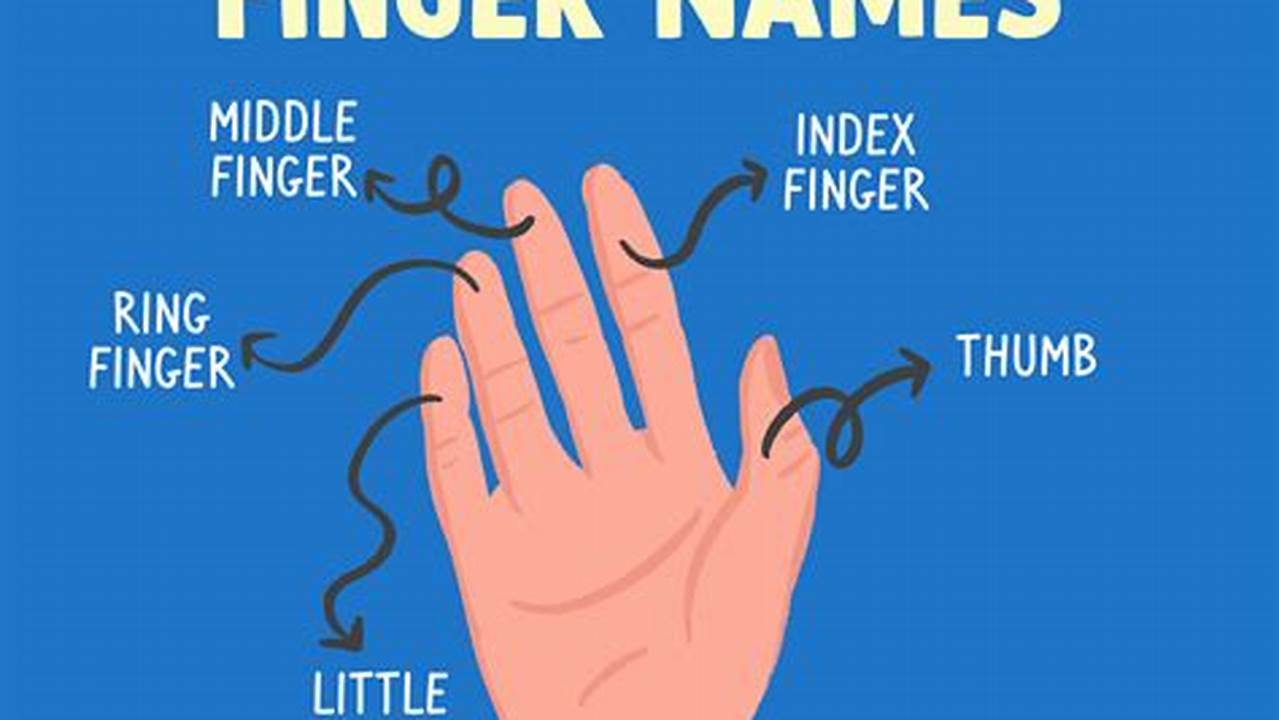 Names of Fingers in English