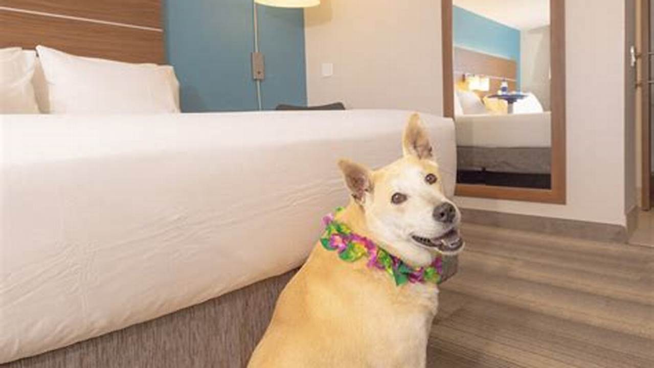 Find Your Perfect Pet-Friendly Getaway: Holiday Inn in NYC with Top Dog-Friendly Perks