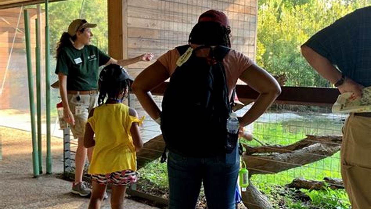 The Rewarding World of Houston Zoo Volunteering: Making a Difference and Connecting with Nature