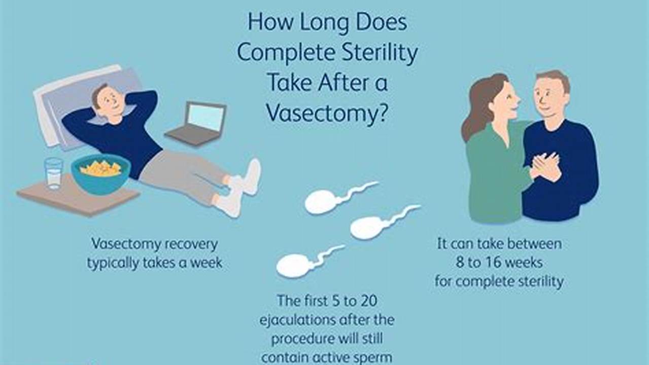 How Long Does It Take To Get Pregnant After A Vasectomy Reversal