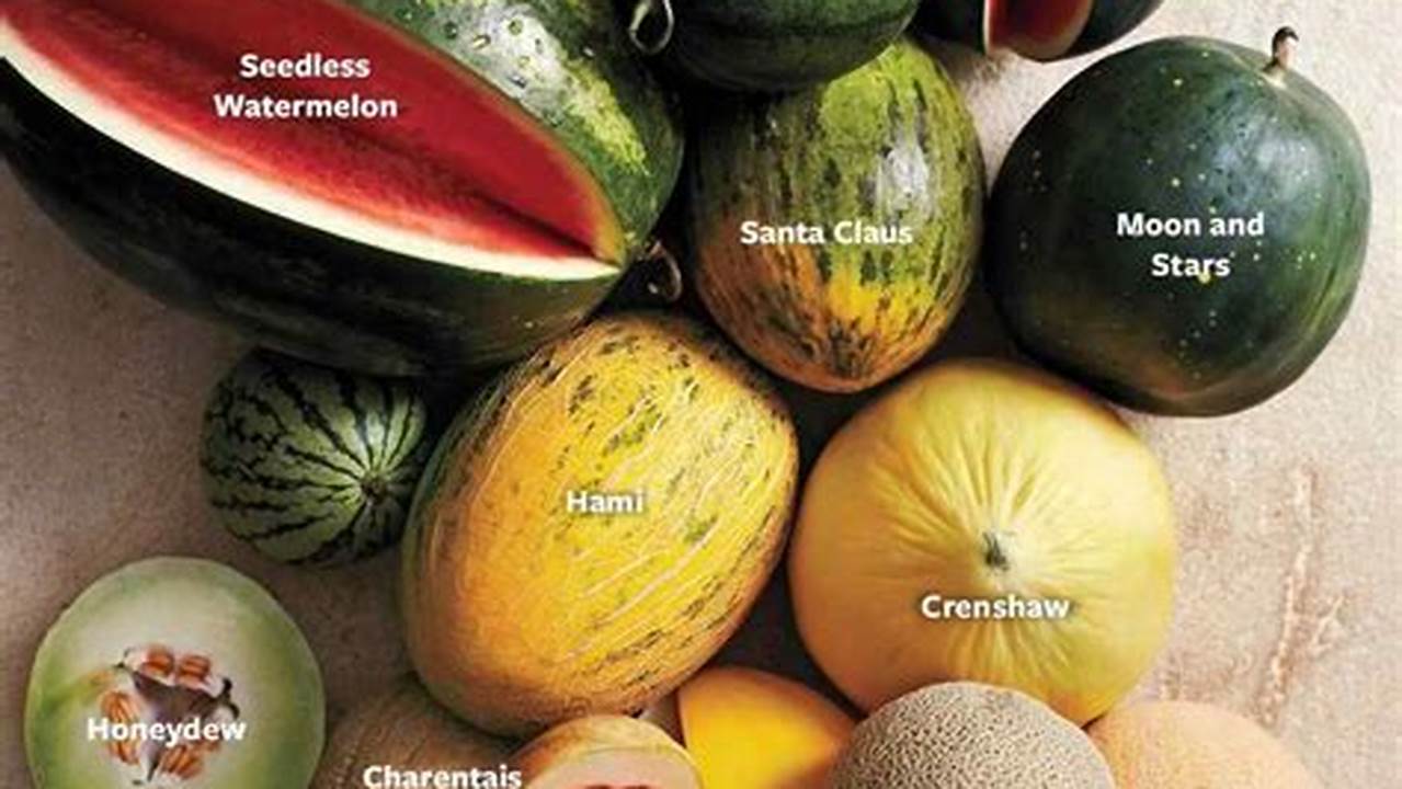 Uncover the Enchanting World of Melons: Discover the Rainbow of Flavors and Varieties