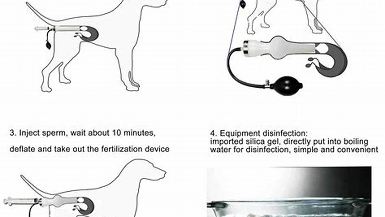 How Often Should You Artificially Inseminate a Dog: A Comprehensive Guide for Breeders