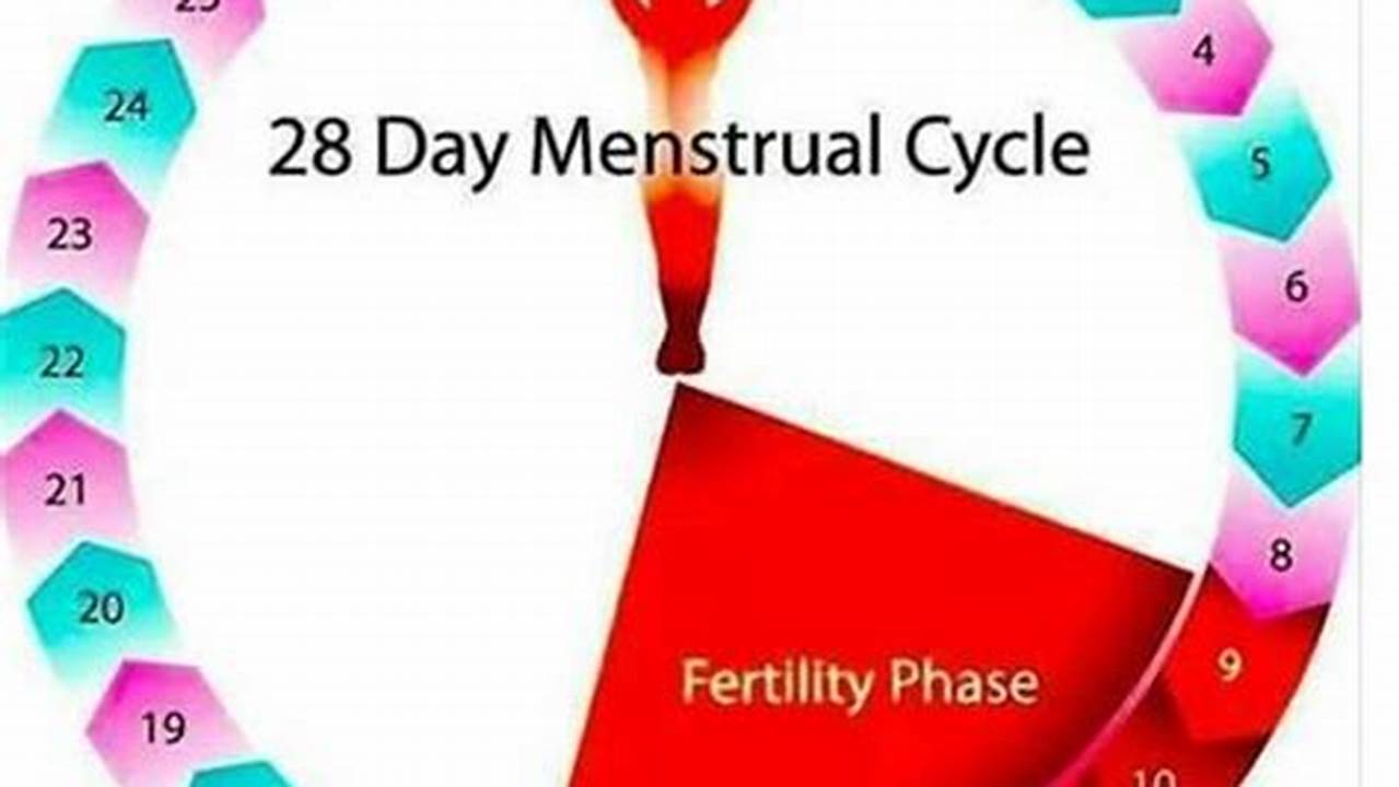 How To Avoid Getting Pregnant Menstrual Cycle