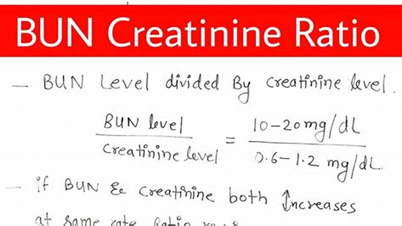 Unveiling the Secrets of BUN Creatinine Ratio: A Guide to Accurate Assessment