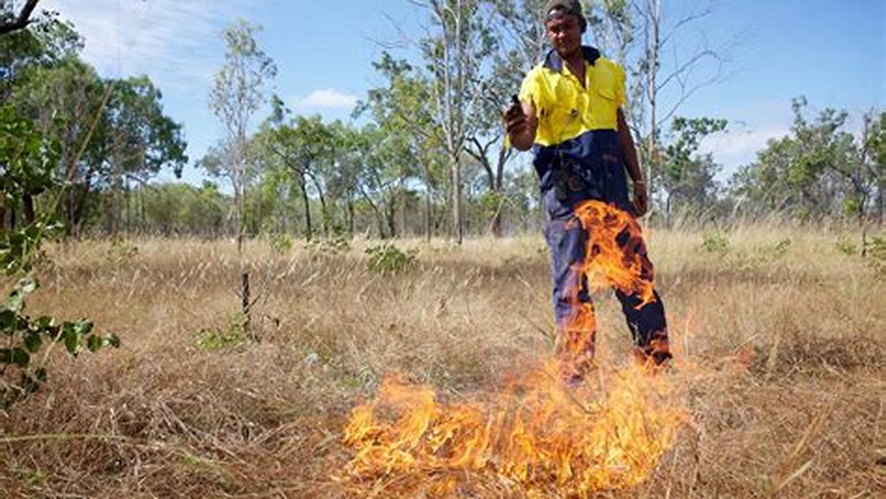 Unveiling the Secrets of Indigenous Farming Practices in Australia: Discoveries and Insights Await