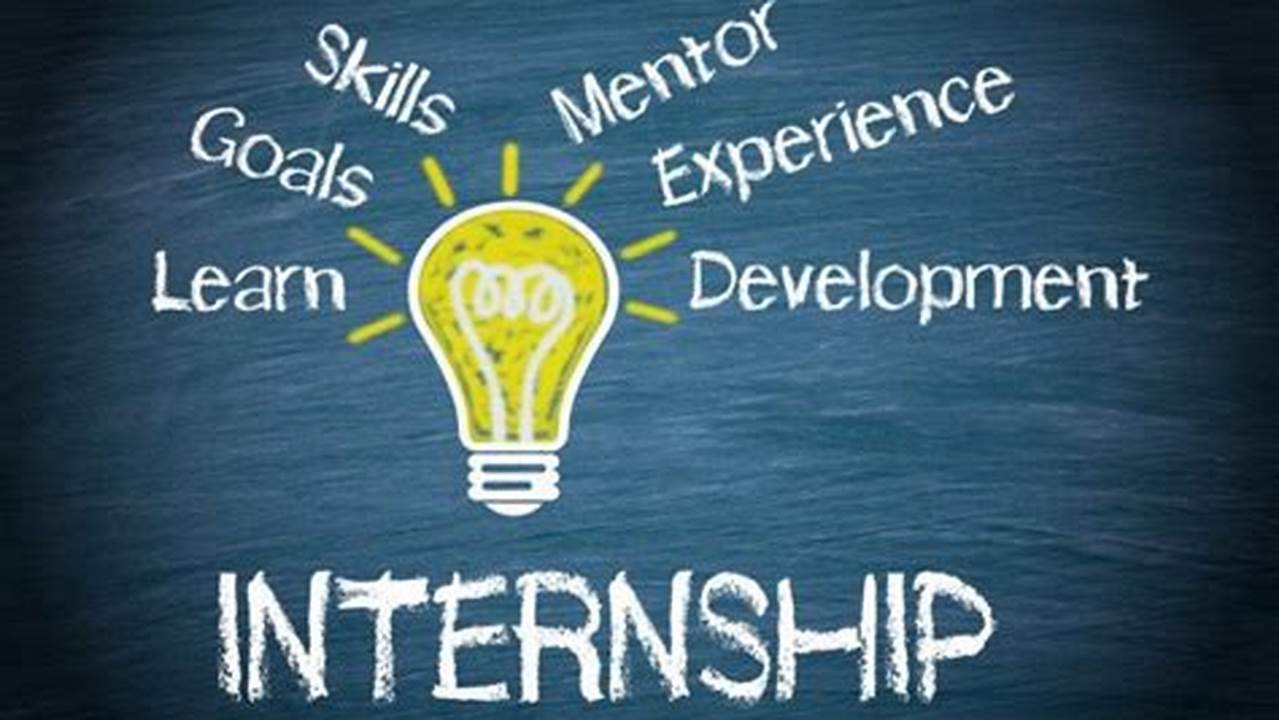 Panduan Lengkap: Internship Program Adalah Kunci Sukses Karier