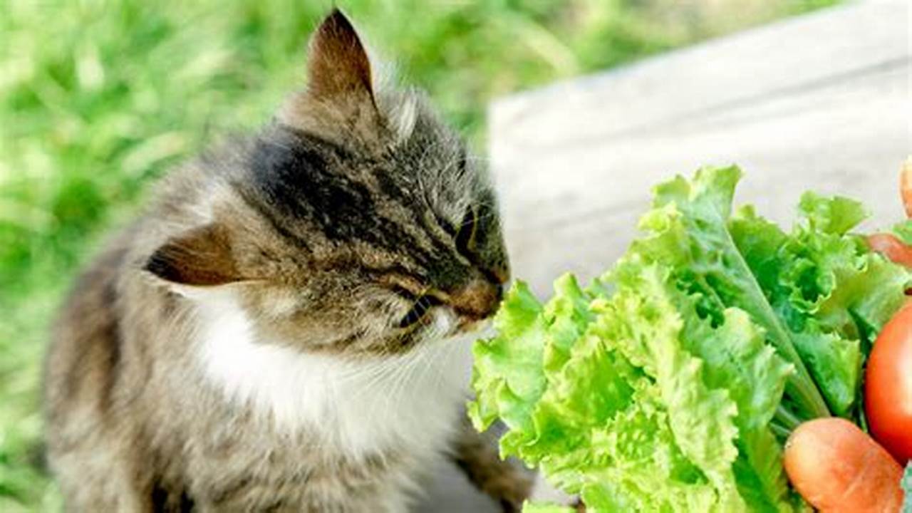 Unveiling the Truth: Is Lettuce a Safe Treat for Your Feline Friend?