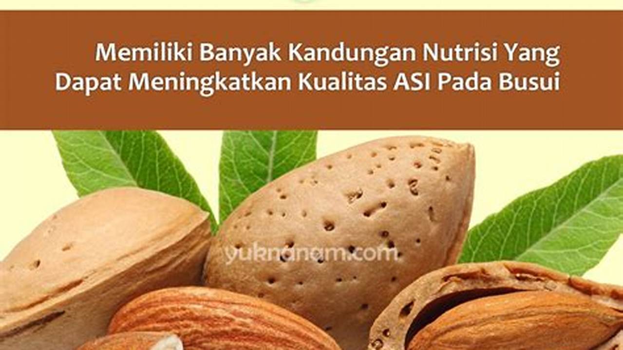 Manfaat Kacang Almond: 7 Rahasia Kesehatan yang Tak Terduga