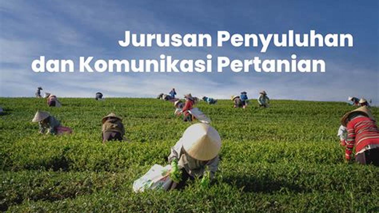 Kuliah Jurusan Penyuluhan Pertanian: Tips dan Prospek Karier