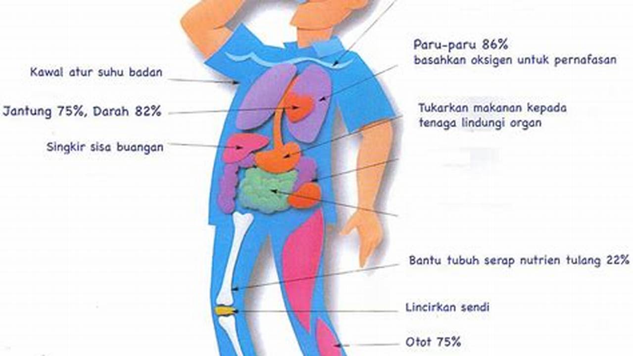 Temukan 7 Manfaat Air Bagi Manusia yang Jarang Diketahui