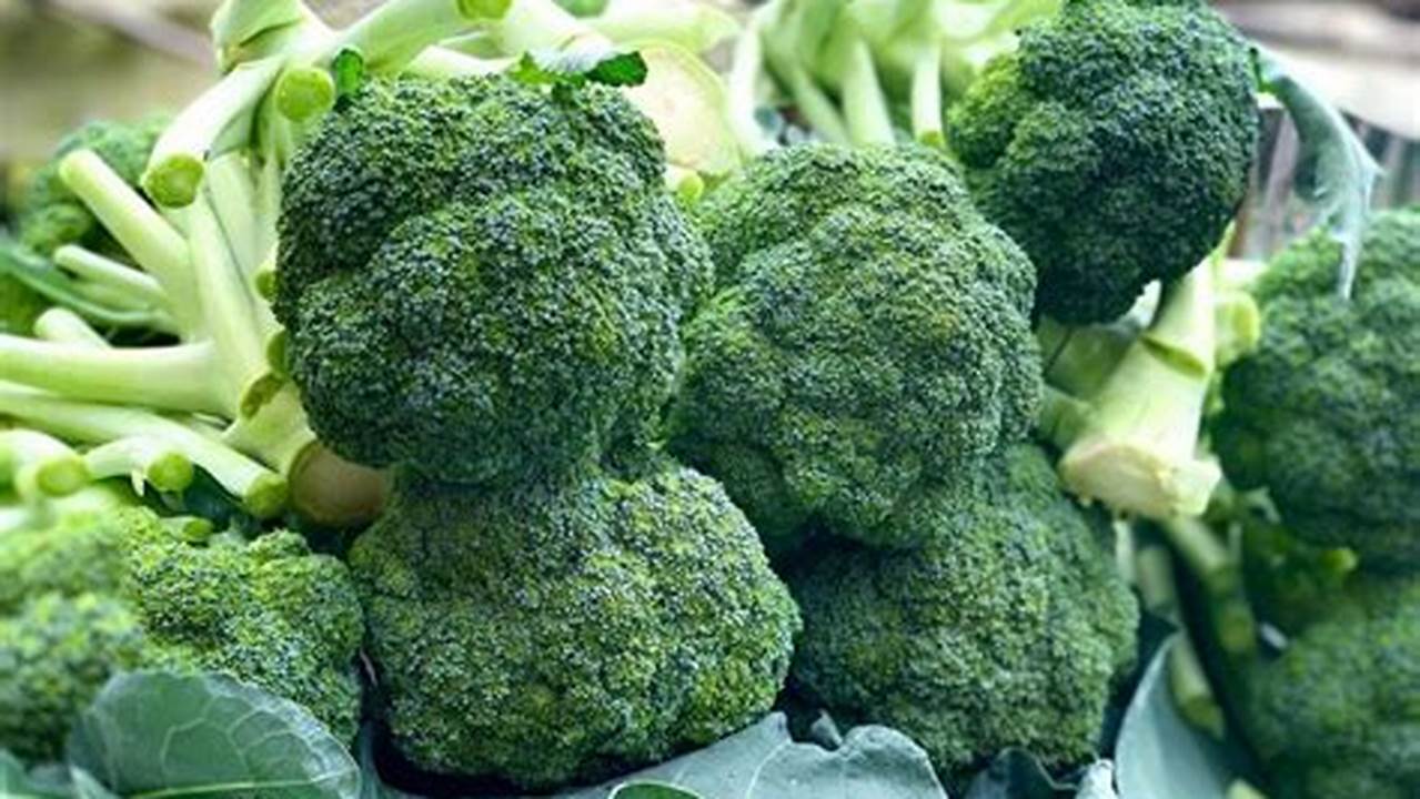 Temukan Manfaat Brokoli Crispy yang Jarang Diketahui, Bikin Anda Terkejut!