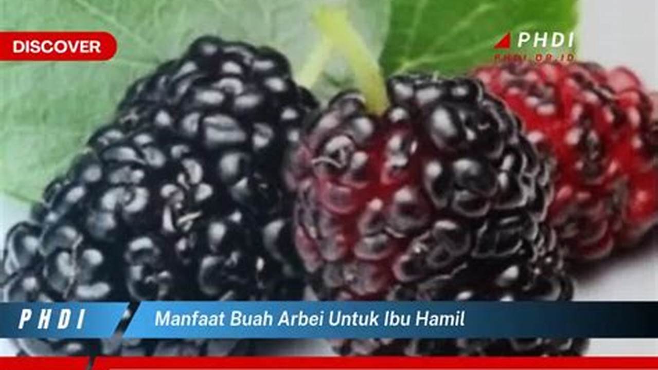 Manfaat Buah Arbei untuk Ibu Hamil: Penemuan Mengejutkan Yang Wajib Diketahui