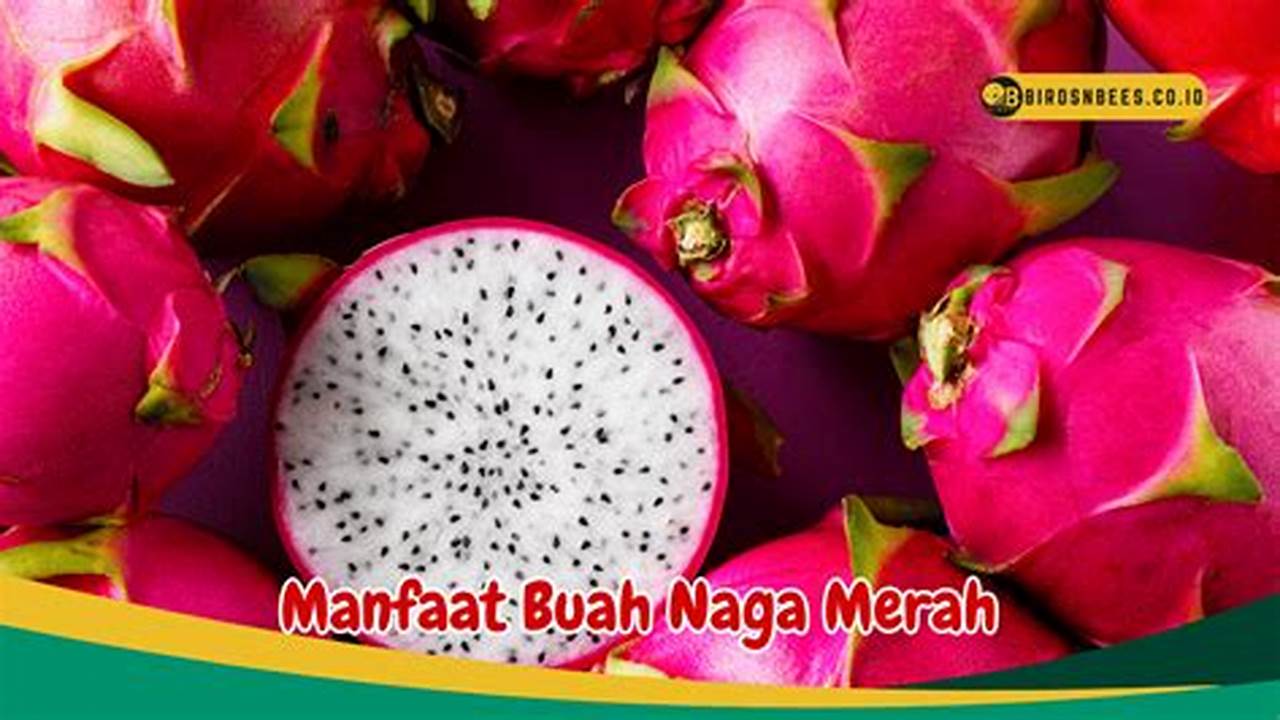 Temukan Manfaat Buah Naga Merah untuk Pencernaan Lancar yang Jarang Diketahui