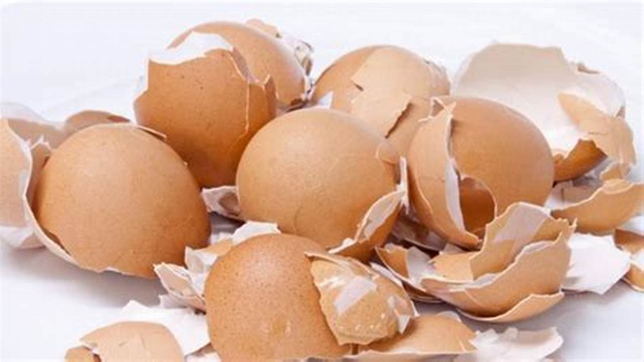 Temukan Khasiat Cangkang Telur untuk Ayam yang Jarang Diketahui!