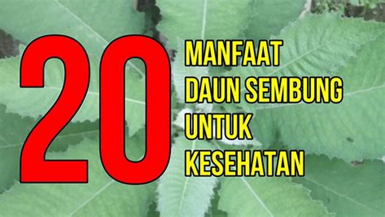 Temukan 9 Manfaat Daun Sembung untuk Pria yang Jarang Diketahui!