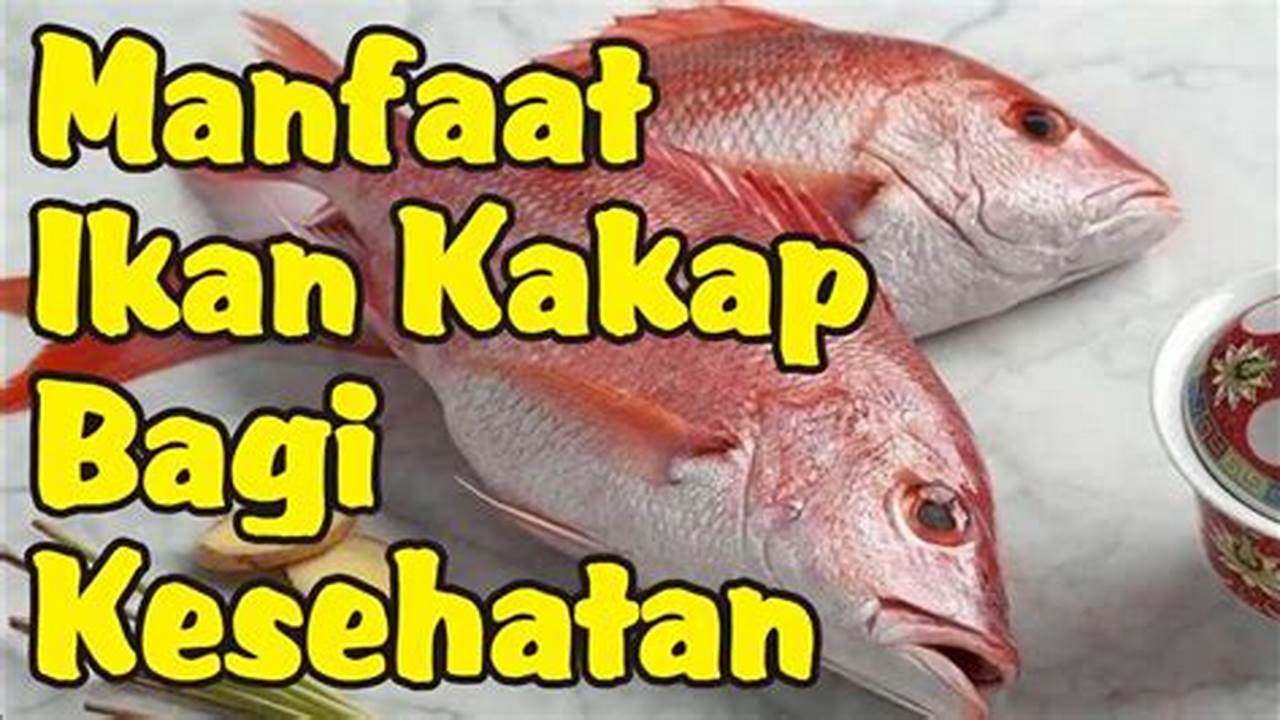 Temukan 10 Manfaat Ikan Kakap yang Jarang Diketahui, Wajib Tahu!