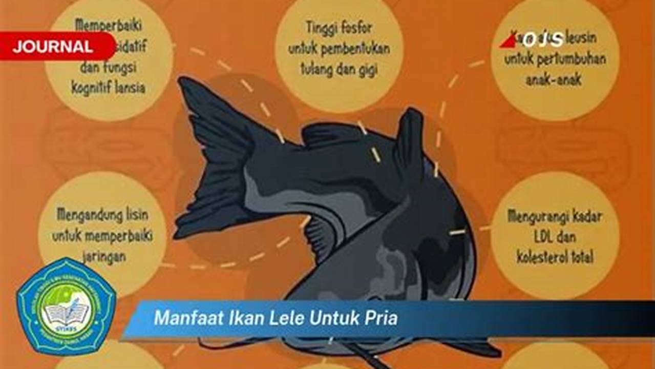 Manfaat Ikan Lele untuk Pria: 10 Khasiat yang Jarang Diketahui