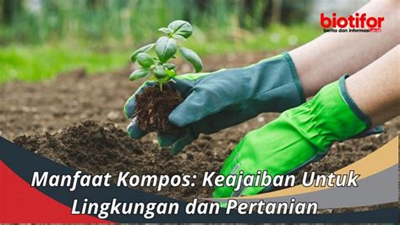 Temukan Manfaat Kompos yang Jarang Diketahui