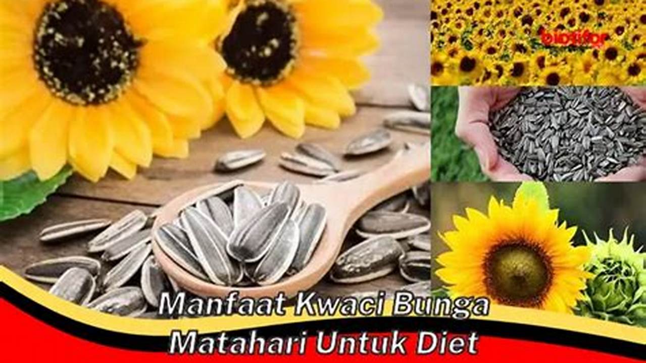 8 Manfaat Kwaci Bunga Matahari untuk Diet yang Jarang Diketahui