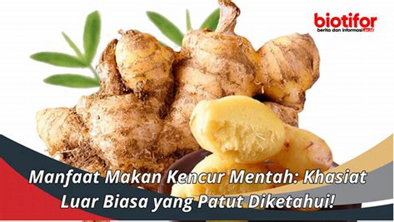 Temukan 7 Manfaat Makan Kencur yang Jarang Diketahui Tapi Penting!