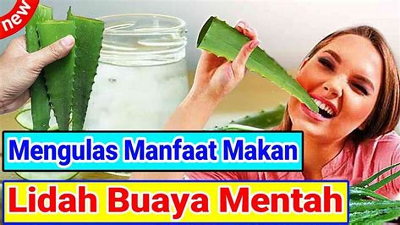 Ungkap Manfaat Makan Lidah Buaya Mentah yang Jarang Diketahui