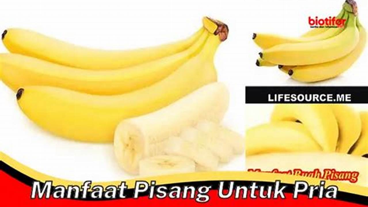 Manfaat Pisang untuk Pria: 7 Khasiat Luar Biasa yang Jarang Diketahui