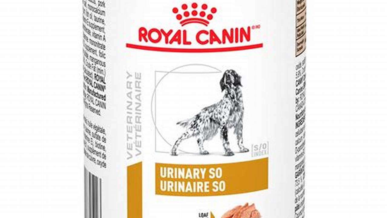 Temukan Manfaat Royal Canin Urinary SO yang Belum Banyak Diketahui