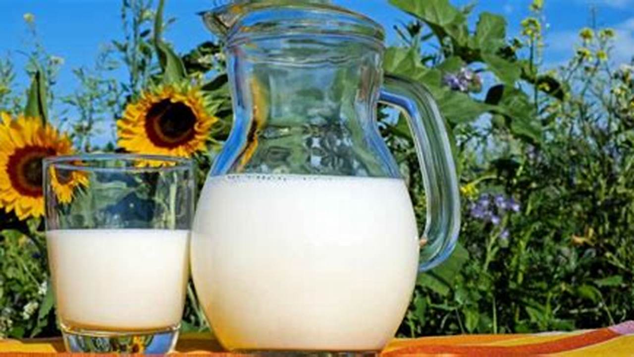 Manfaat Susu Sapi Murni yang Jarang Diketahui