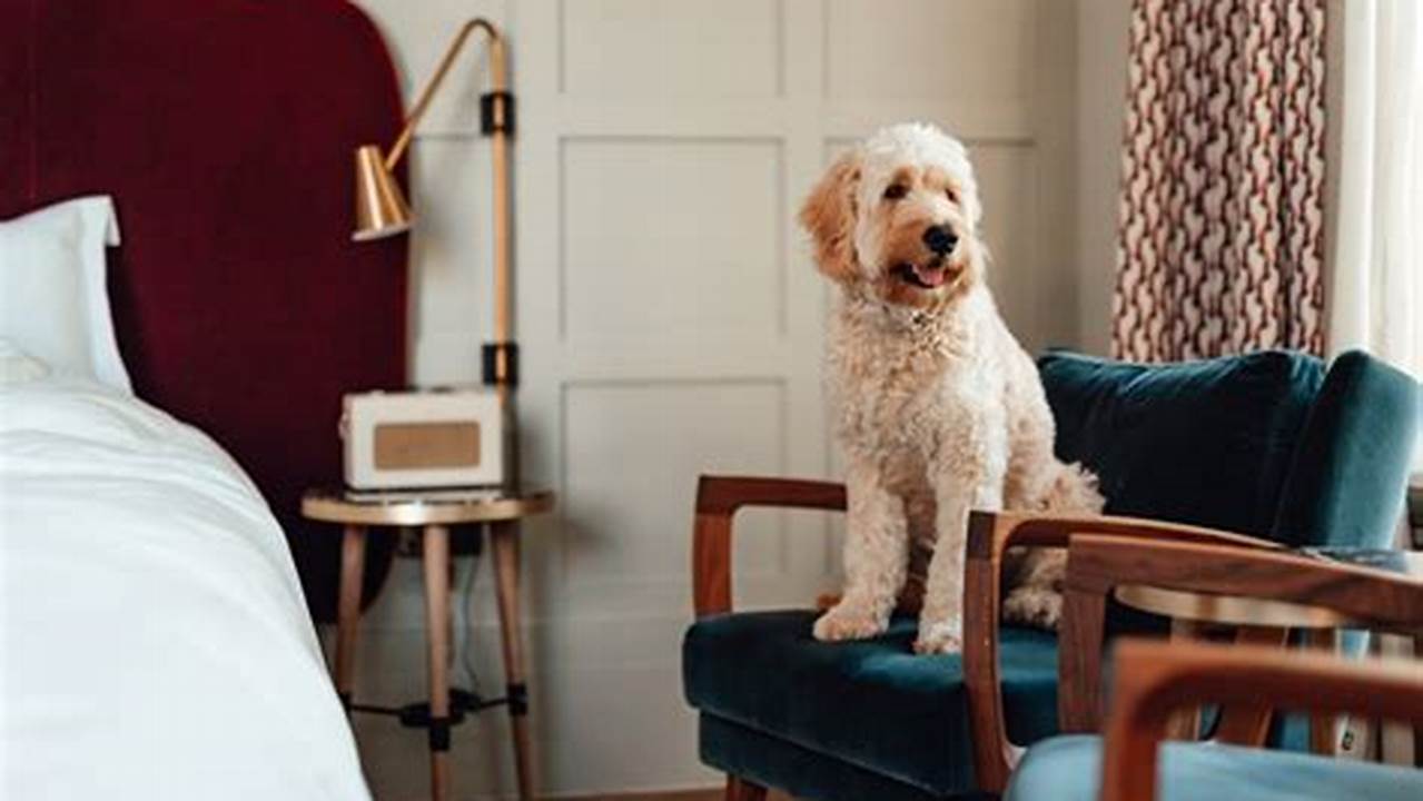 Discover the Top 10 Marriott Dog-Friendly Hotels in New York City