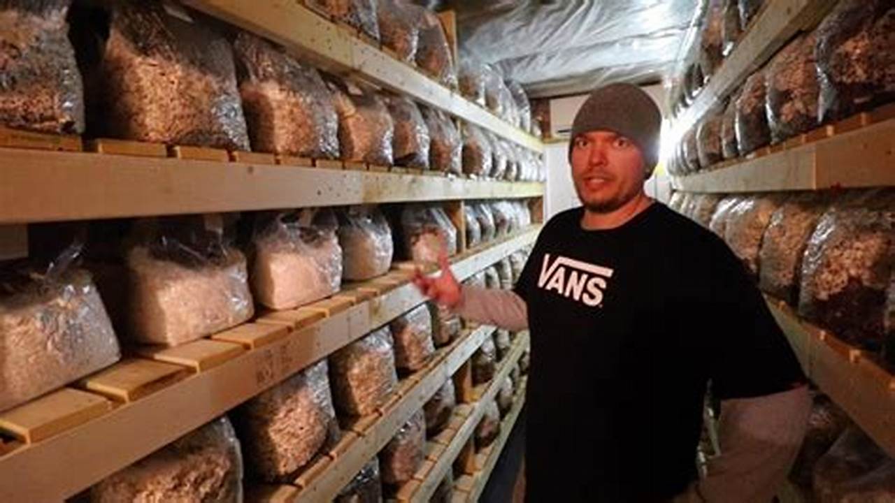 Discover the Secrets of Mushroom Farm DIY: A Journey of Cultivation and Rewards
