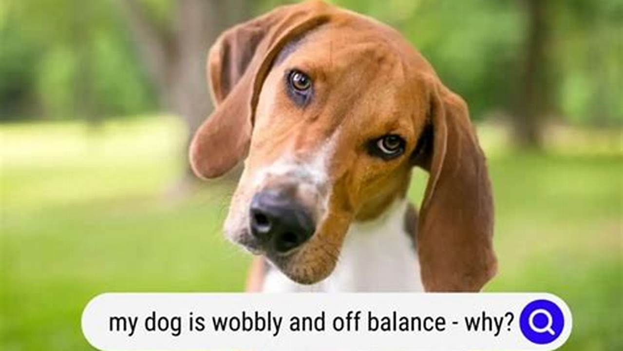 How to Help Your Wobbly and Off-Balance Dog