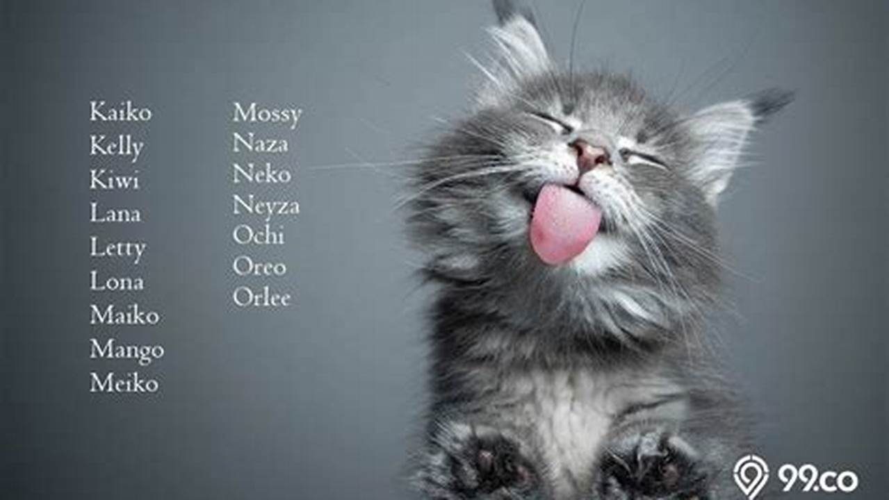 Nama Kucing Lucu dan Menggemaskan untuk Sahabat Bulumu