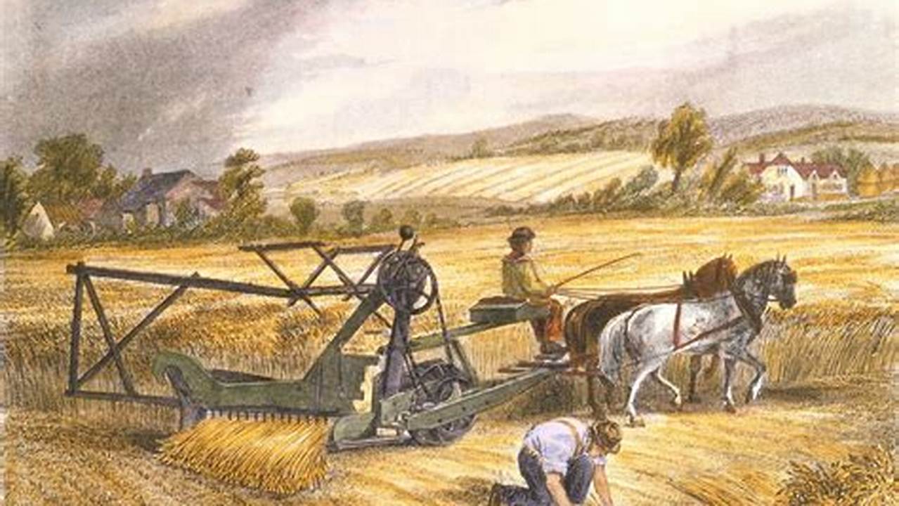 Unearthing the Roots of Sustainable Farming: Discoveries from Old Pre-Machine Practices